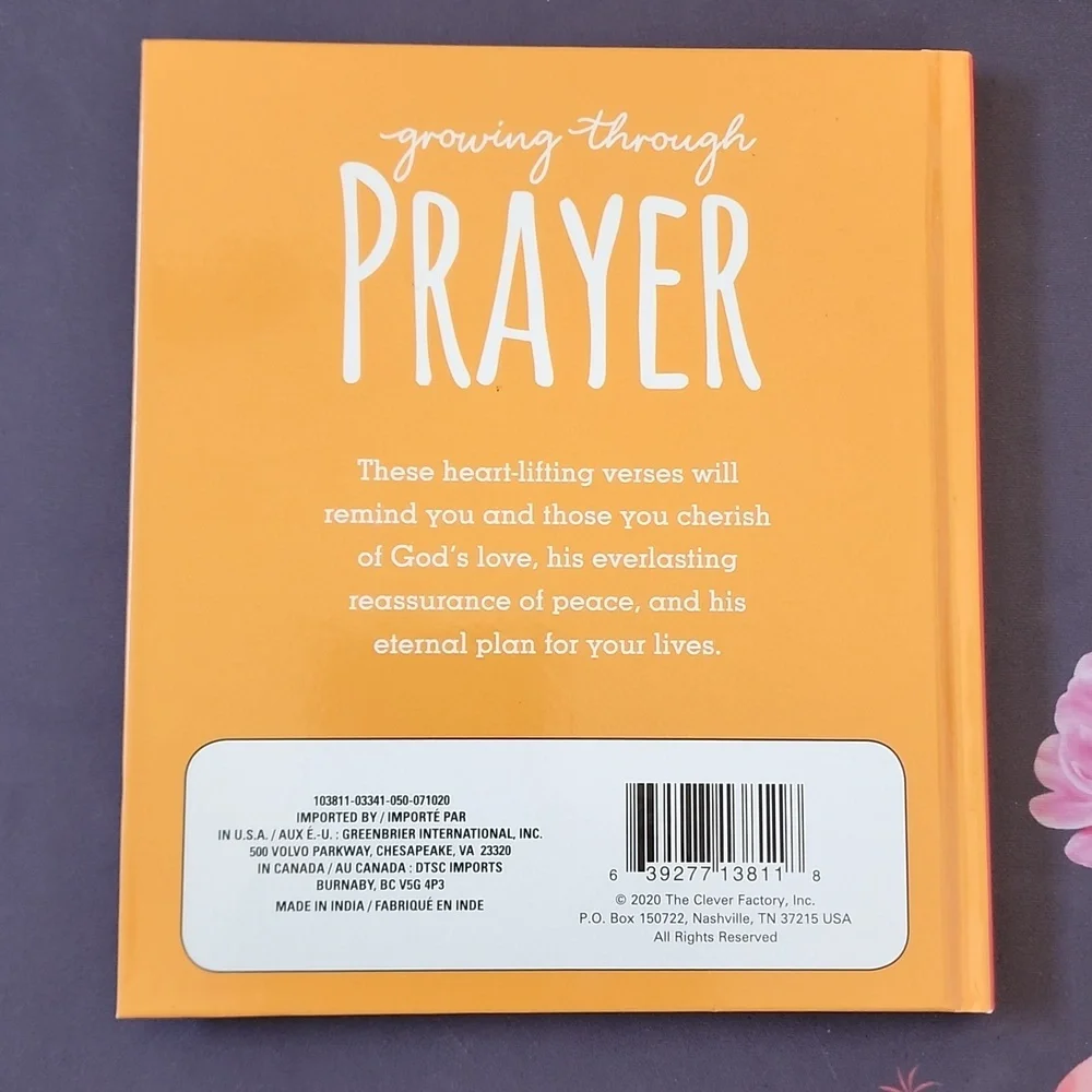 3 For $9 - 3 Book Set Growing with Prayer, Faith, & Lord You Have My Heart - Picture 5 of 15